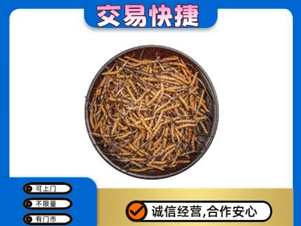 抚顺清原县回收散虫草